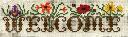 1266341403welcome.jpg