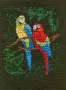 1266351030parrotsxs.jpg