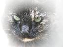 1269505216freckles2--ems.jpg