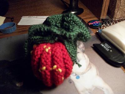 From the front
<p>Looks squishy since I cropped it</p>
