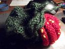 1300250820the strawberry booties 001 (640x481).jpg