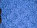 1262651266cimg0663.jpg