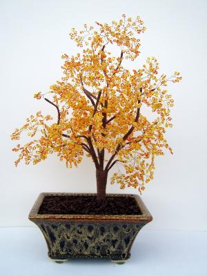 Fall tree
