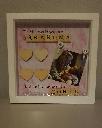 1563994455resized 6 .jpg