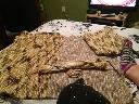1408034650cat6.jpg