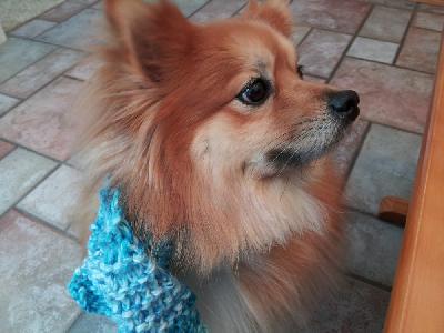 Lacey Modeling My Scarf
