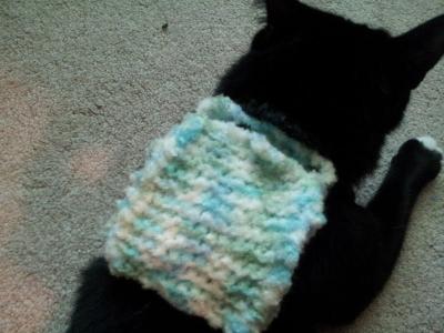 My cat Gatsby wearing my mini knitted backpack
