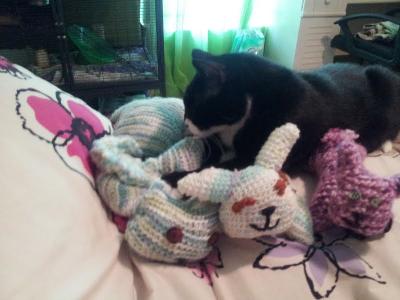 Gatsby making bread on my knitted animals
