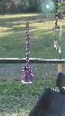 1397290919suncatcher9.jpg