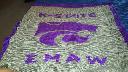 1406036528wildcat.jpg