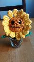 1419842972sunflower.jpg
