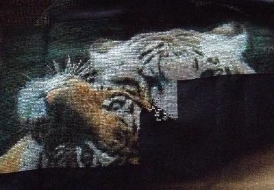 Two Bengal tigers
<p>slow progress on this one as on three other projects so I bounce from one to the other&nbsp;</p>
