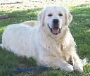 1447504995rocky.jpg