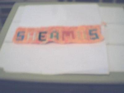 My godson Sheamus's name
