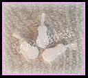 1449687640suela soft baby.jpg