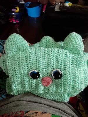 Kitty poncho
