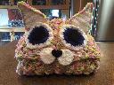 1529888436hoodedcatblanket.jpg