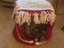 1529888437mittensshaggydogcathouse.jpg