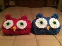 1529890139hoodedowlblankets.jpg