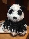1529890143pandabear1.jpg
